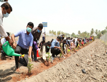 Inauguration of VIT Fruit Orchard planting